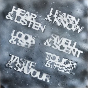 Senses Spray paint Study White