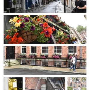 London 14 Dragons Page 29